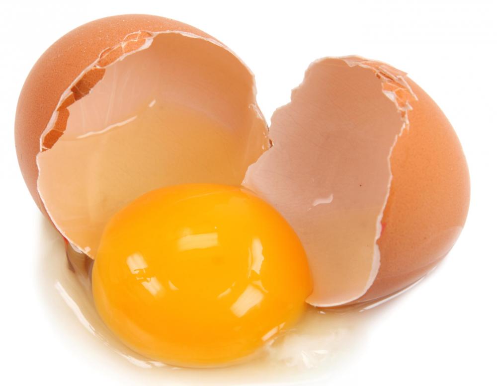 نگهداری طولانی تخم مرغ